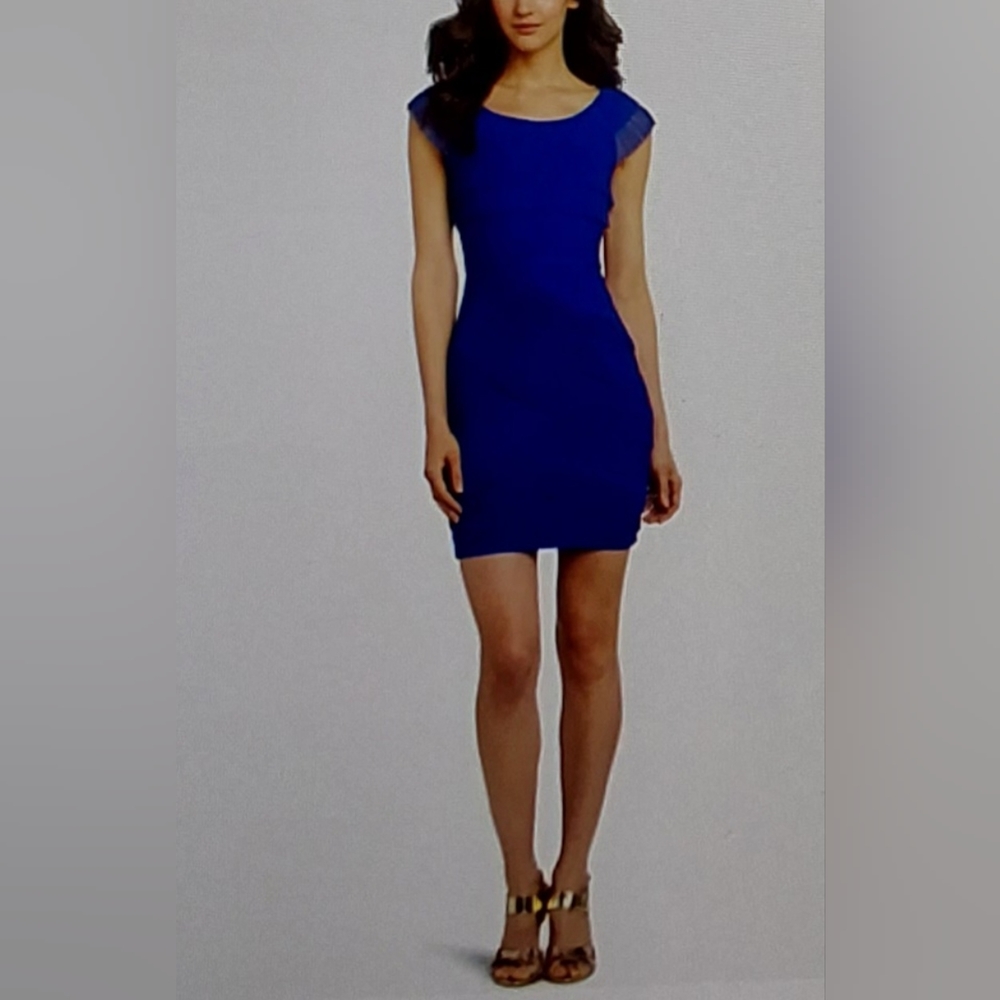 BCBGMAXAZRIA BRIANA NWOT RUFFLED MESH DRESS WOMEN'S 2